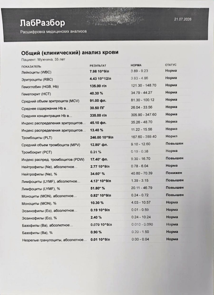 Пример расшифровки общего анализа крови